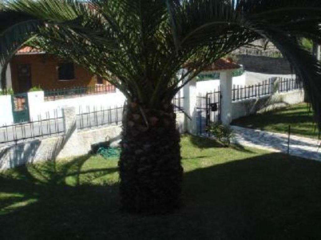 Hotel Vivenda Atlantico Vila Praia de Âncora Exteriér fotografie